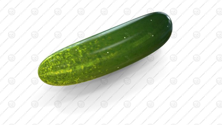 3D model Cucumber