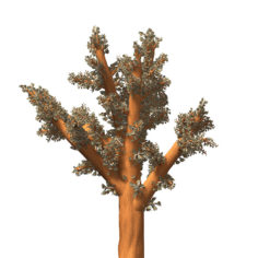 3D XfrogPlants Carnation Coral Plant Tree