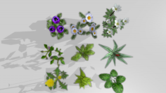 Plants set 3D Model