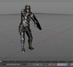 Knight Palodin 3D Model