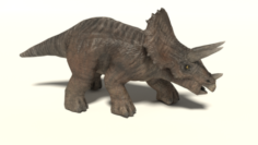 3d Triceratops