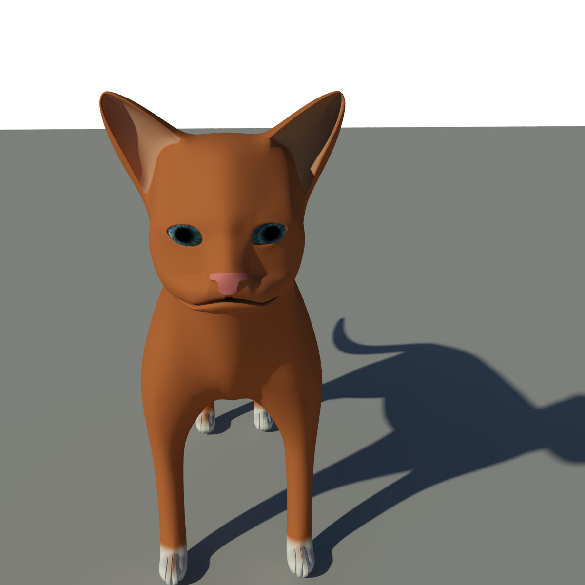 Cat model