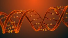 DNA Static Hipoly Model 3D Model
