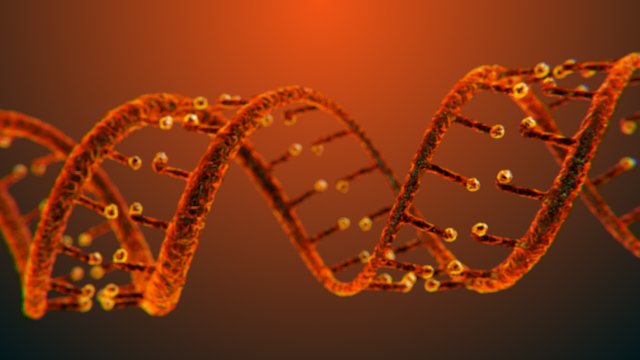 DNA Static Hipoly Model 3D Model