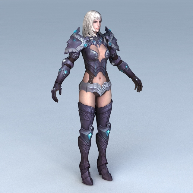 Female Paladin Concept 3d model