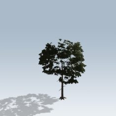Simple Tree 03