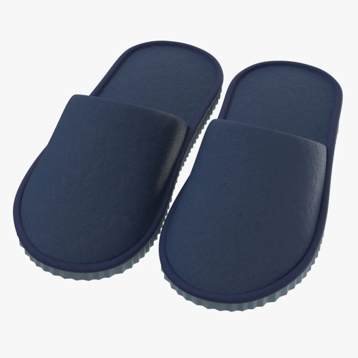 3D House Slippers 01