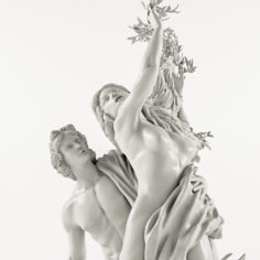 3D Gian Lorenzo Bernini – Apollo and Daphne model