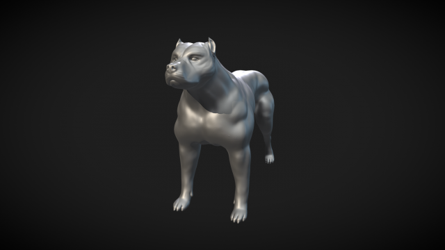 Pitbull 3D Model