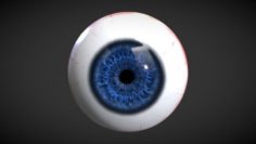 Realistic eye 3D Model