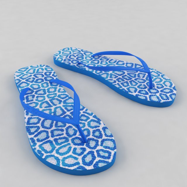 Flip-flops 3D Model