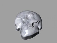 Skull 3d model 3D Model