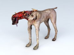 Resident Evil Zombie Dog 3d model