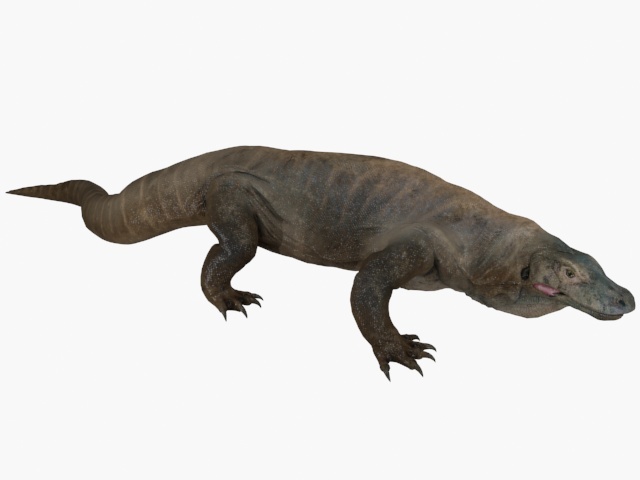 Komodo Dragon Animated 3D Model