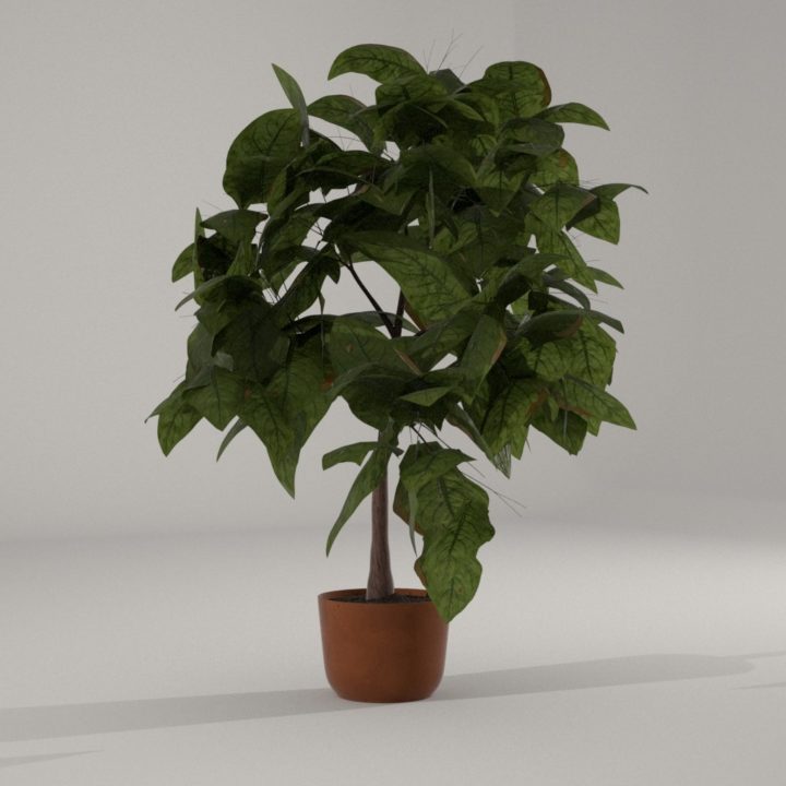 House Plant model