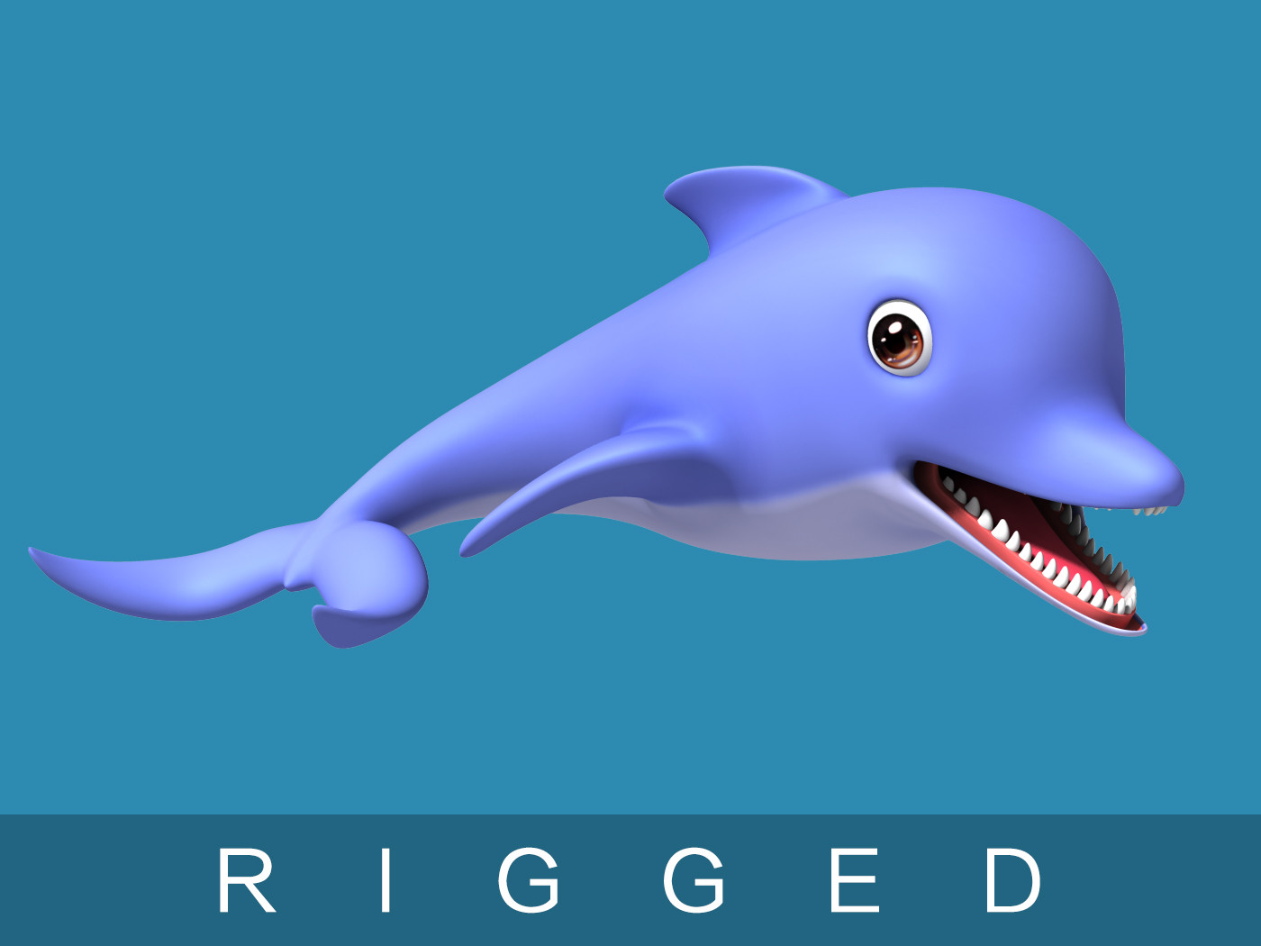 Cartoon_Dolphin