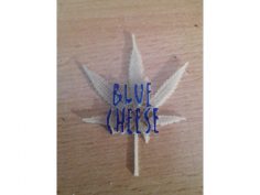 Blue Cheese Plant label