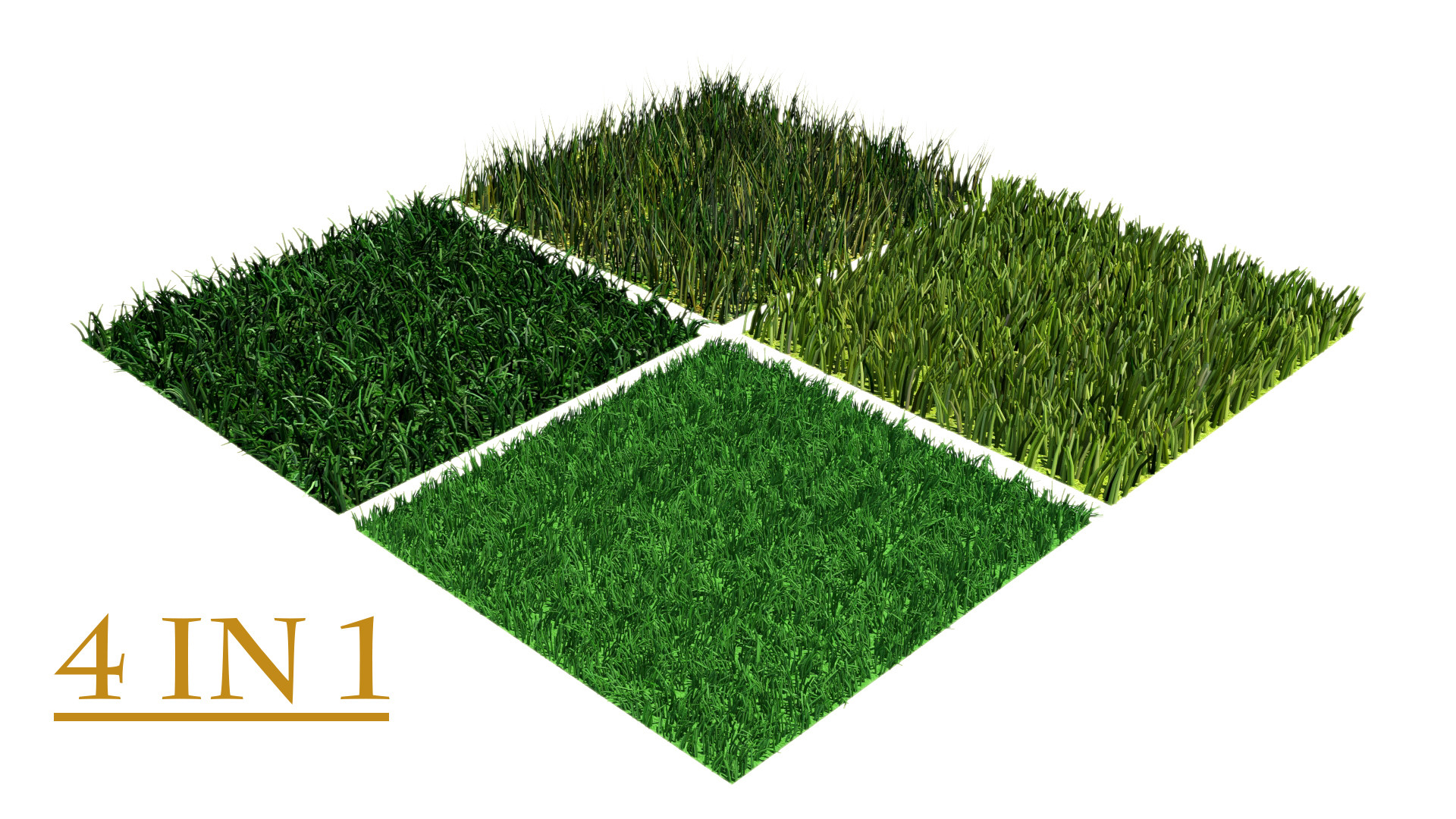 grass multi