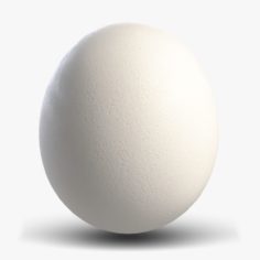 Egg 2 White