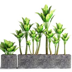 Plants collection pot 3D Model