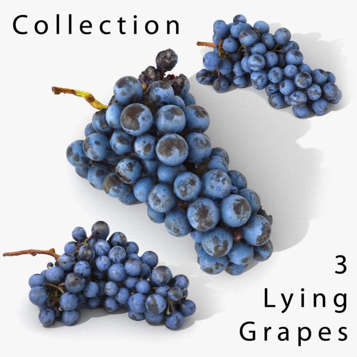 3D Grapes Lying Realistic Collection