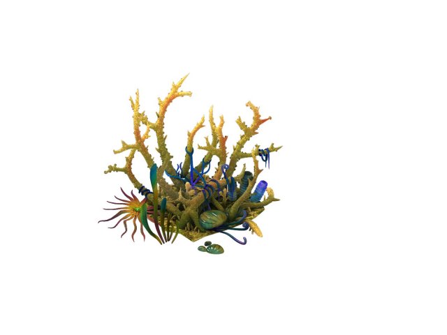 Game Model – Gifted Coral 3D Model