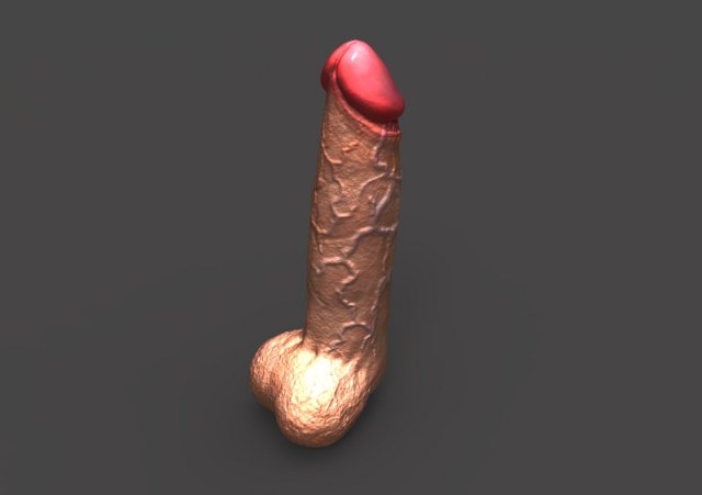 Realistic male penis 3D Model