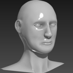 Male Head High Poly
