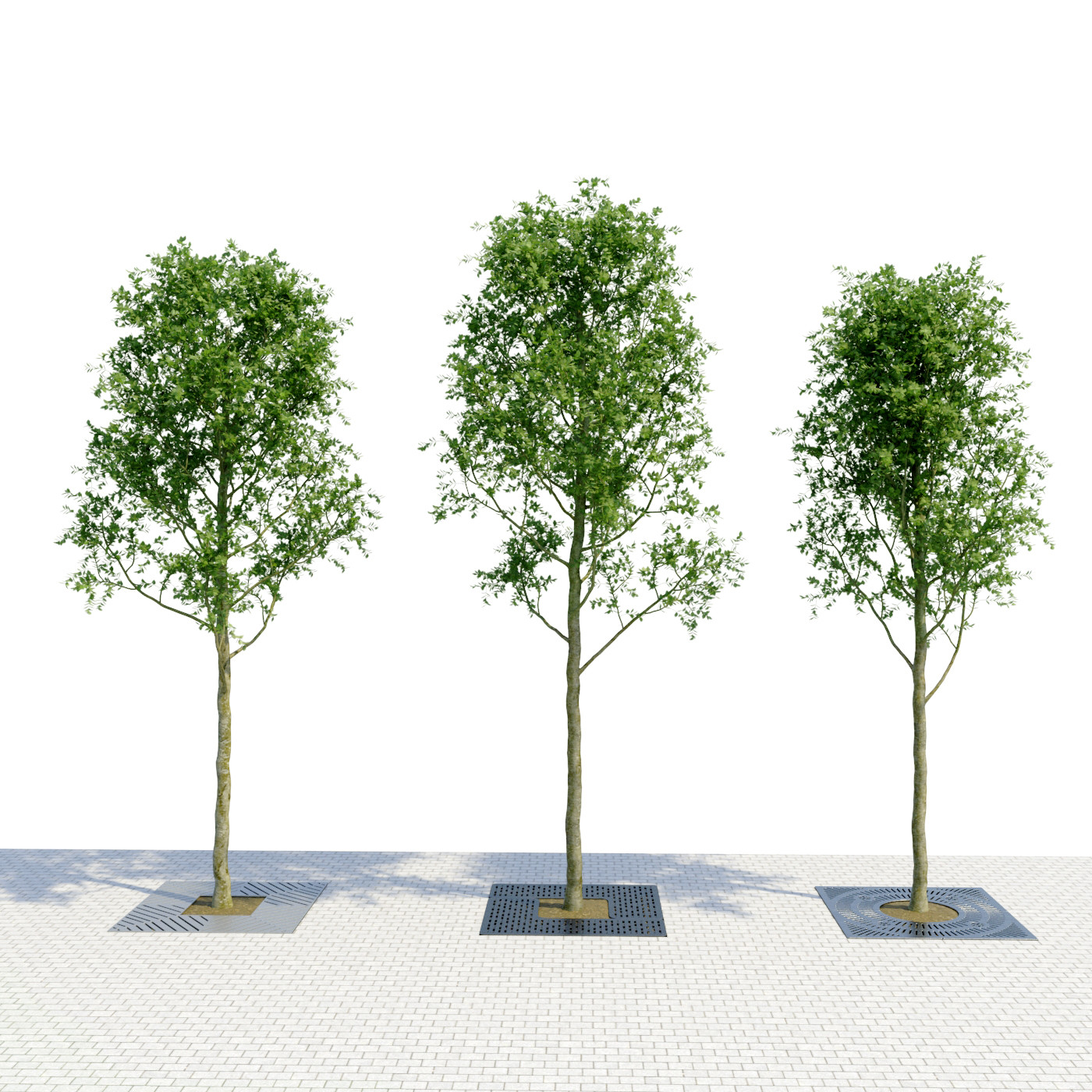 Tree Planter Grate Set