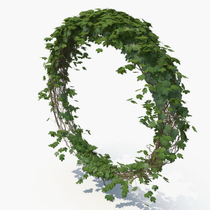 Ivy Circle