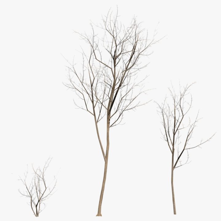 3D winter trees game-ready