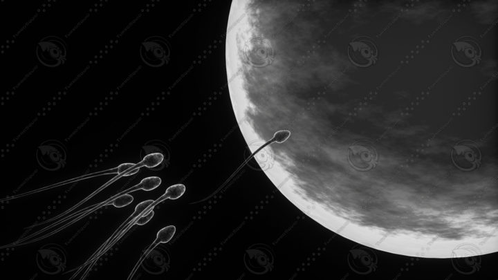 Sperm