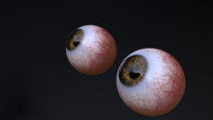 Eyes 3D model