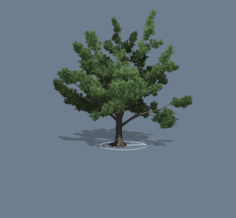 Simple Tree 01