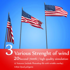 FLAG ANIMATED 3 LEVEL oF WIND STRENGHT
