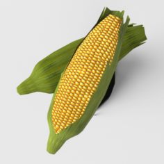 Corn 3D Model