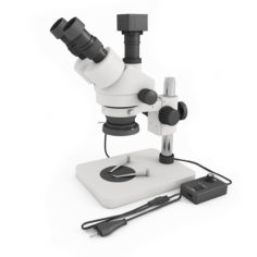 3D Stereo-Microscope 3D Model