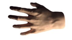 Skin Hand 3D Free 3D Model