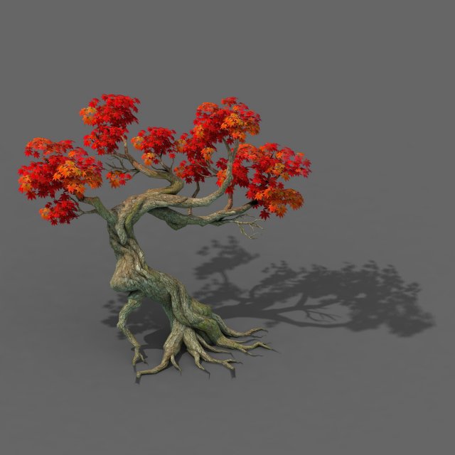 Forest – Maple Tree 12 3D Model