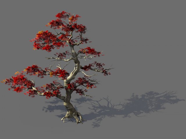 Game Model – Forest – Maple Tree 3 3D Model