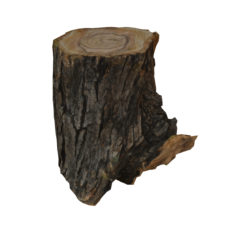 Log 7 3D Model