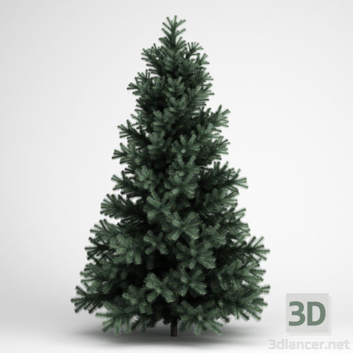 3D-Model 
Spruce