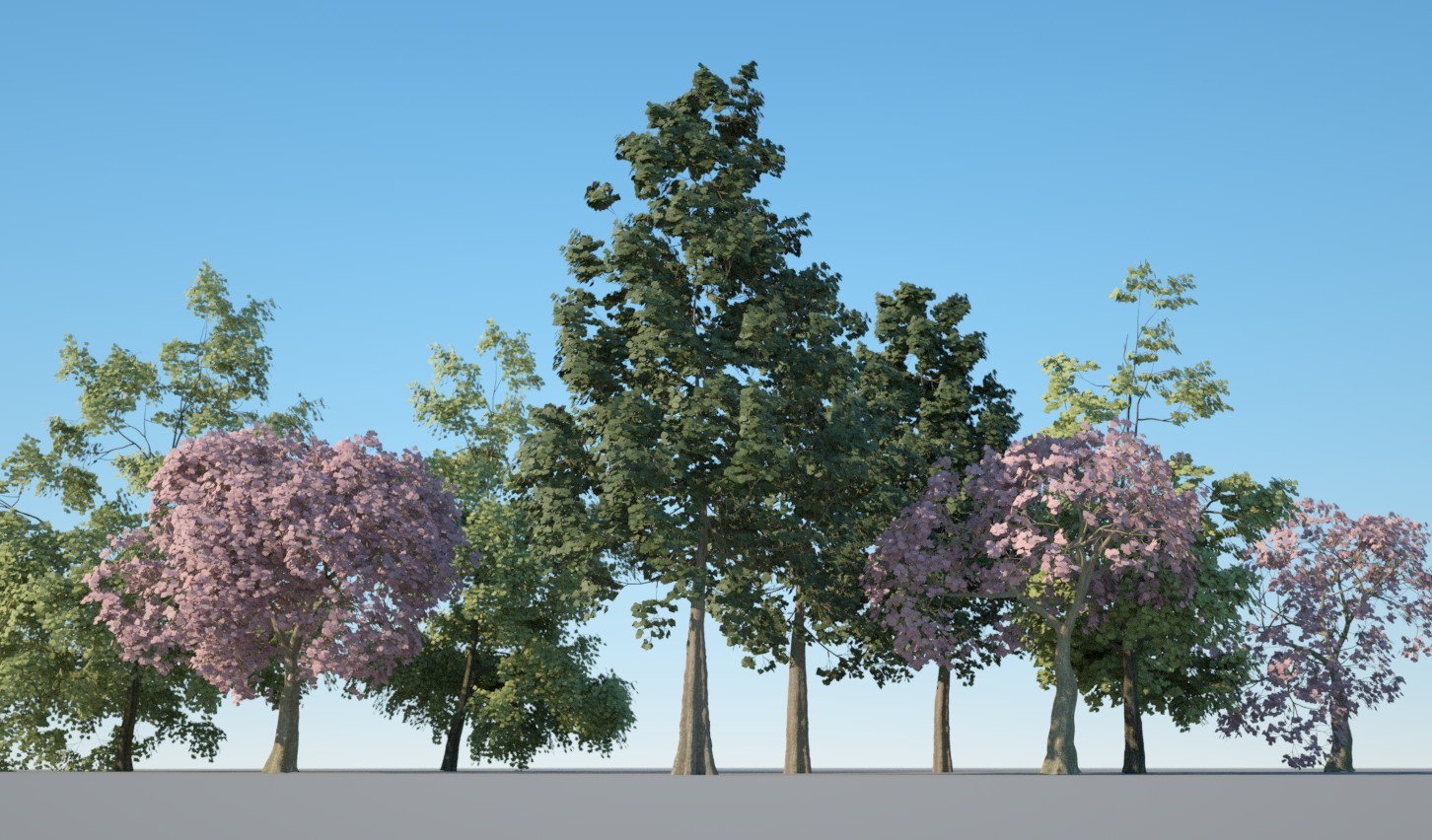 Tree Pack 1 3D model 3D Model