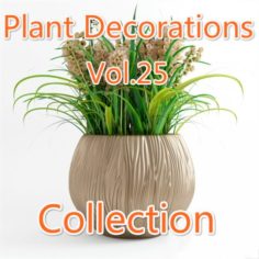 Plant Decoration Collection 3D Model