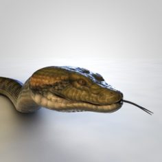 Anaconda snake (Animated, Rigged) 3D model 3D Model