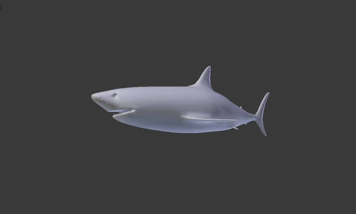 Great White Shark 3D Model