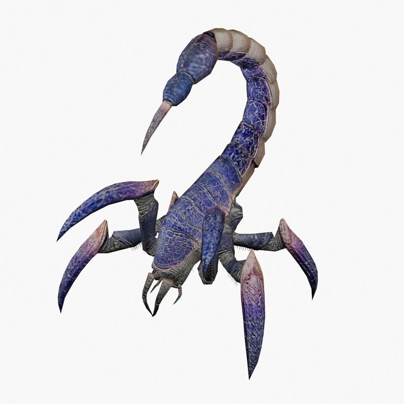 Scorpion Creature Animated 3D Model - 3DHunt.co