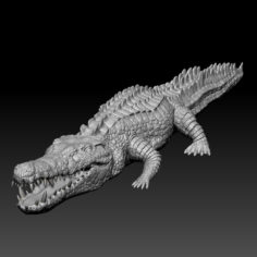 Crocodile ztl v2 3D Model