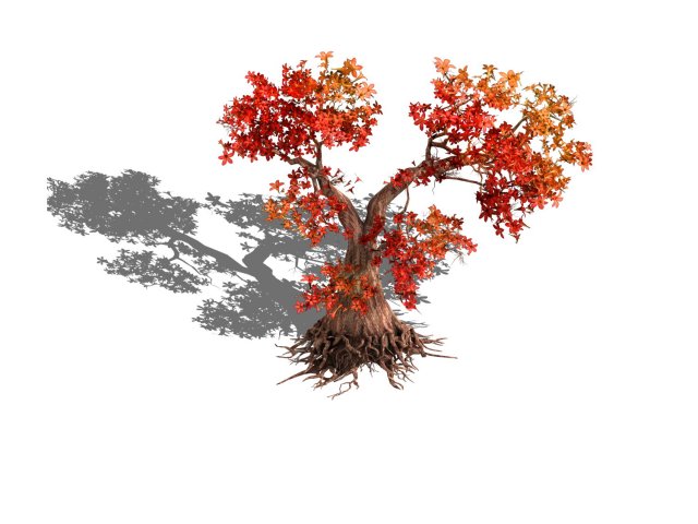 Forest – Maple Tree 19 3D Model