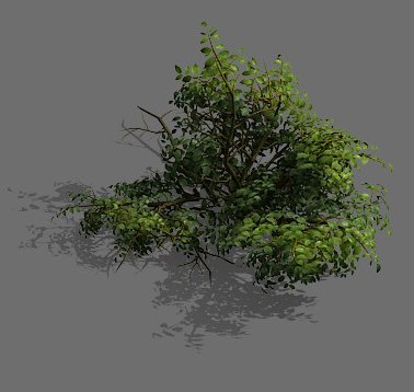 Game Model – Forest – Shrub 15 3D Model